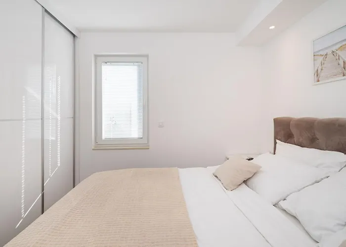 Dalmatian Dream Zadar