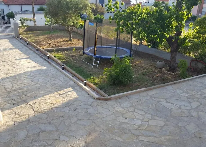 Dalmatian Dream * زادار