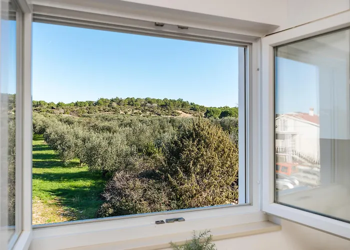 شقة Dalmatian Dream زادار