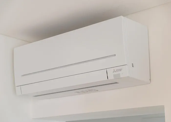 Dalmatian Dream * زادار