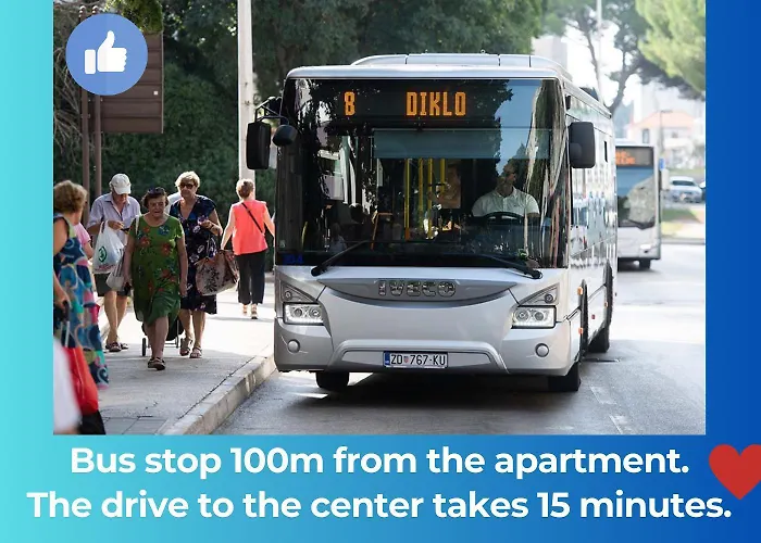 Dalmatian Dream * زادار