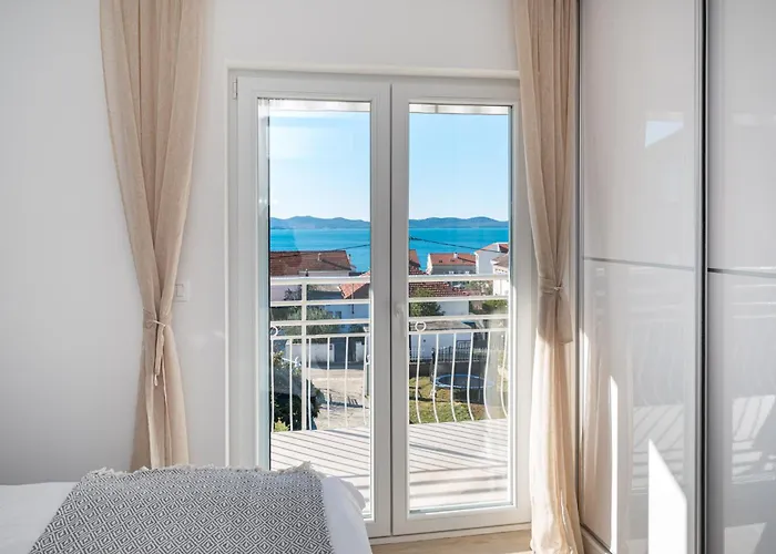 Dalmatian Dream * زادار